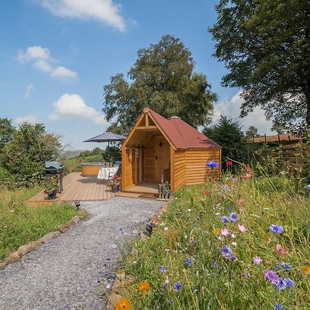 Dol Y Mynydd The Mountain Meadow-Qu7521 Villa Llangerniew Exteriör bild