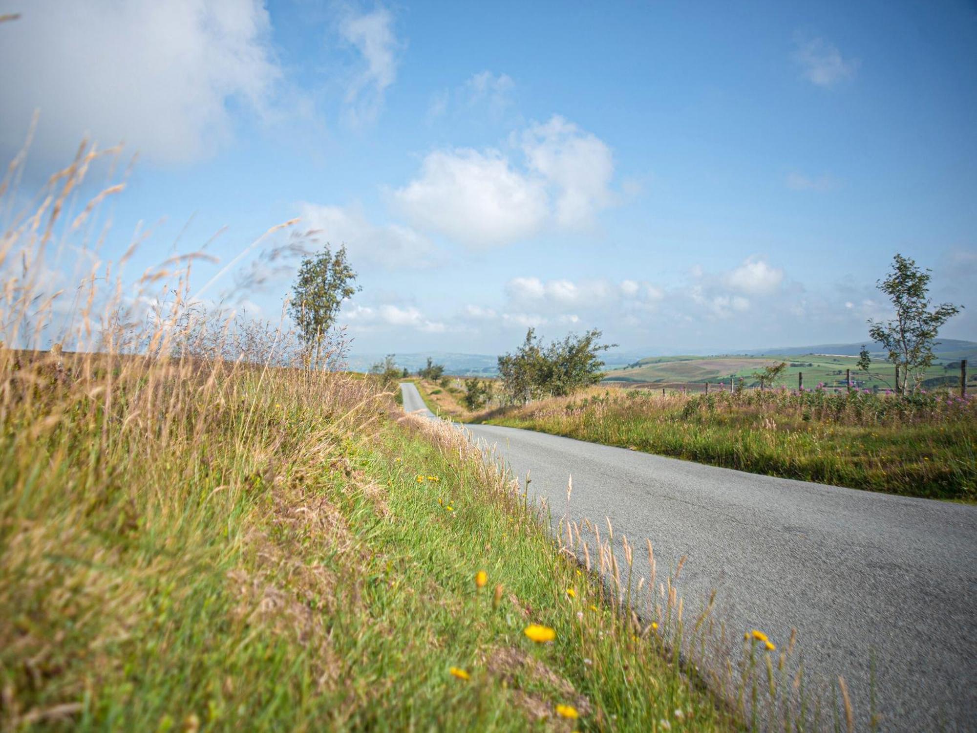 Dol Y Mynydd The Mountain Meadow-Qu7521 Villa Llangerniew Exteriör bild