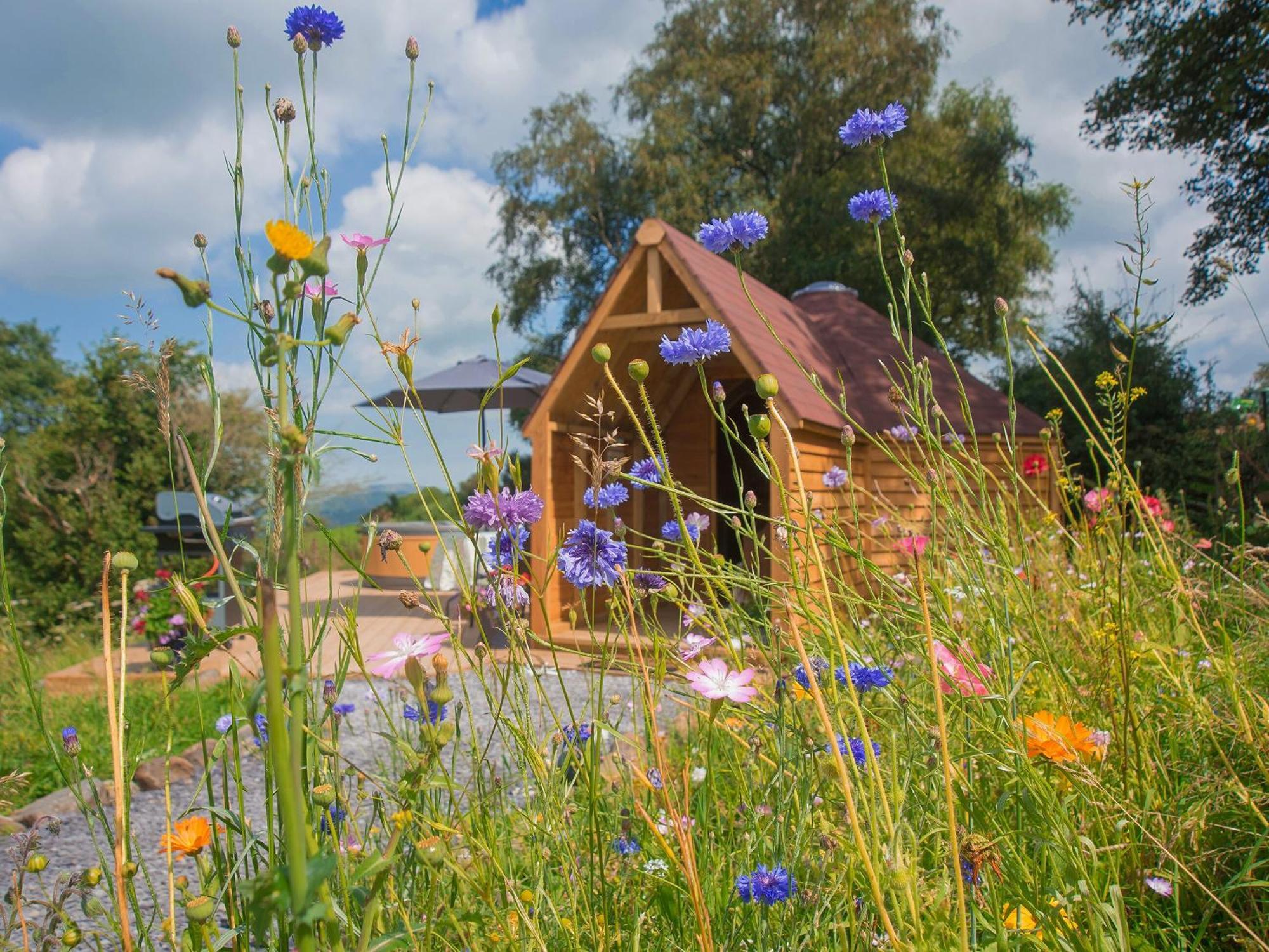 Dol Y Mynydd The Mountain Meadow-Qu7521 Villa Llangerniew Exteriör bild