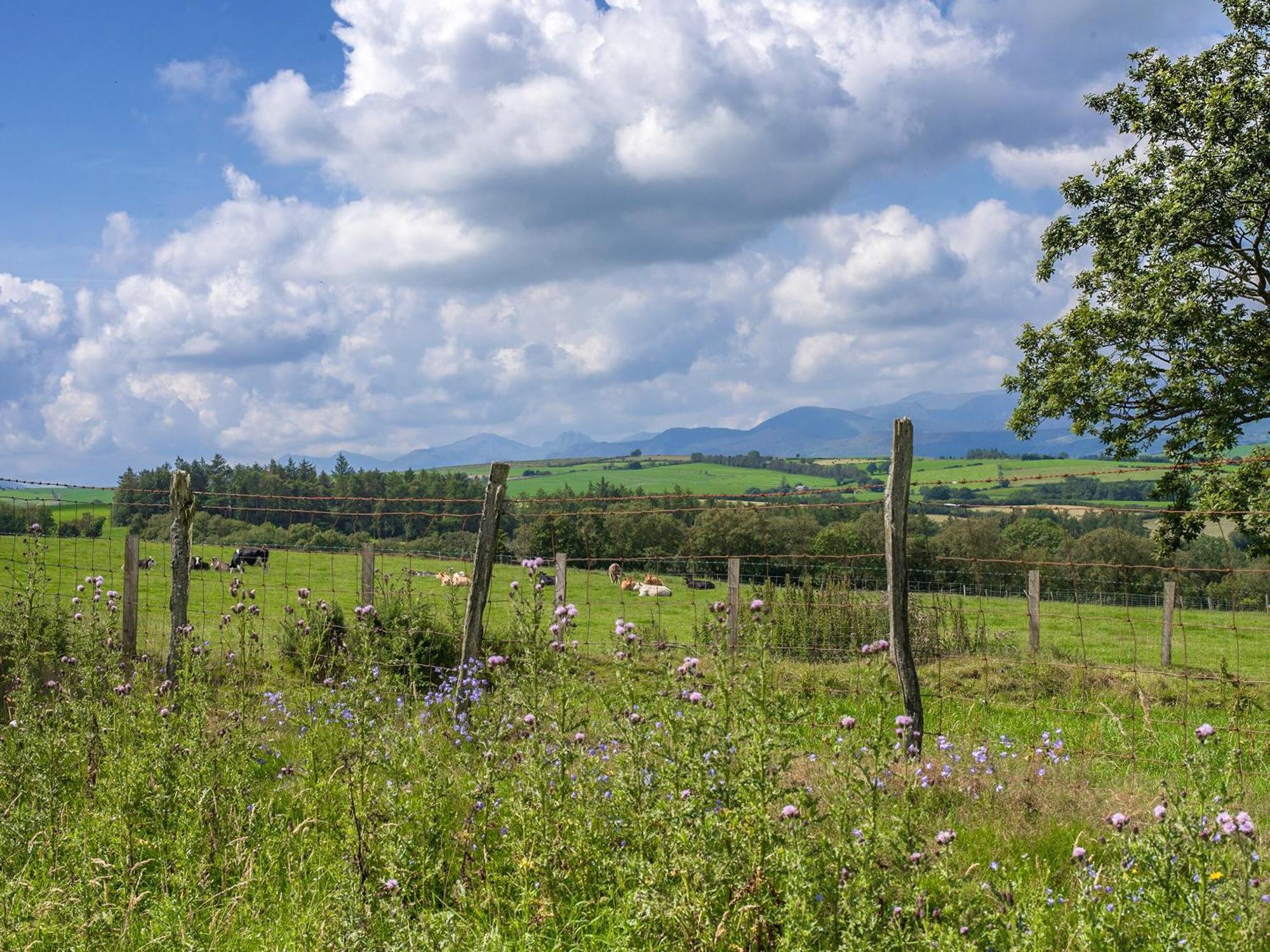 Dol Y Mynydd The Mountain Meadow-Qu7521 Villa Llangerniew Exteriör bild