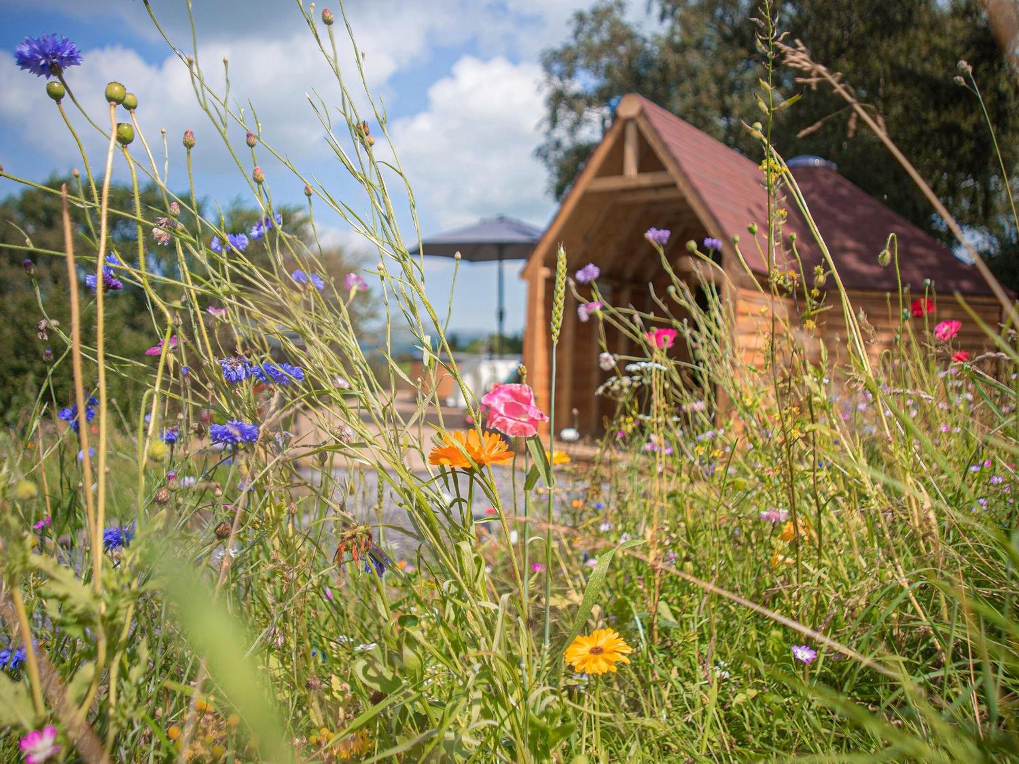 Dol Y Mynydd The Mountain Meadow-Qu7521 Villa Llangerniew Exteriör bild